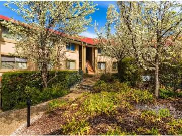 Charming 50/34 Leahy Close, Narrabundah Apartment for rent Li.
