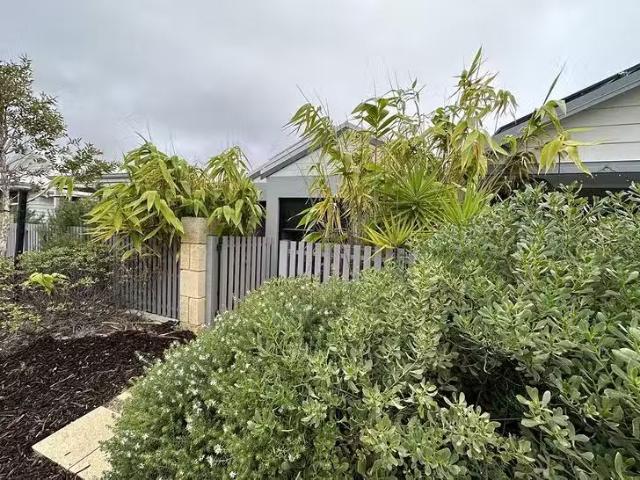 Cheap 6 Spiny Lane, Alkimos, WA 6038