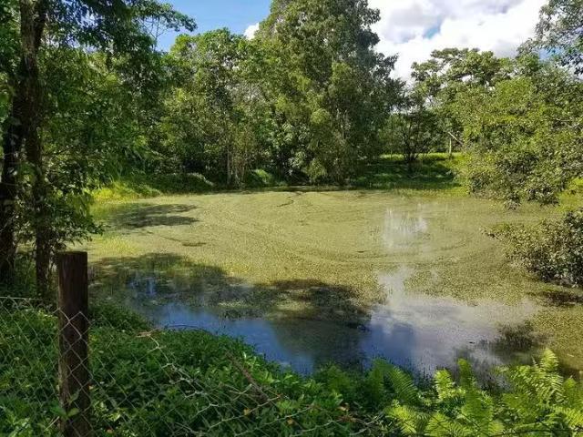 Cozy 77 Santacatterina Road, Finlayvale, QLD 4873