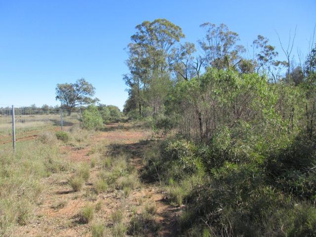 Just under 40 acres for how much?