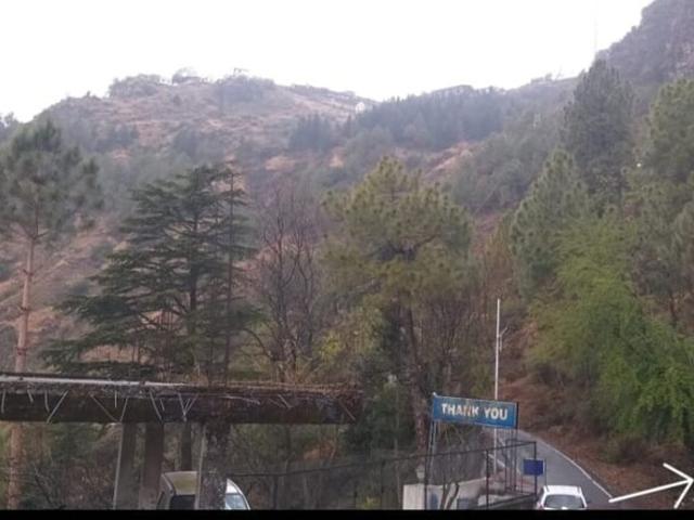 Jutogh 2000 Sq.Ft. Plot in Jutogh Shimla Listing ID: #8846