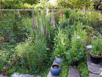K3 Familienparadies mit weitläufiger Gartenoase in exklusiver Salzburger Stadtlage! Mehrfamilienhaus in sonniger Ruhelage mit Grün und Bergblick!