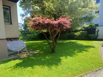 Mauerbach, Radstadt, Radstadt, Bezirk Sankt Johann im Pongau, Bundesland Salzburg