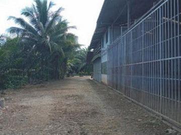 K02054 ขายโรงงาน ตำบลทุ่งกระบือ อำเภอย่านตาขาว ตรัง