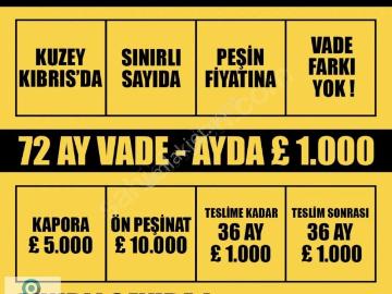 Havza, Samsun ili, Karadeniz Bölgesi - Klima