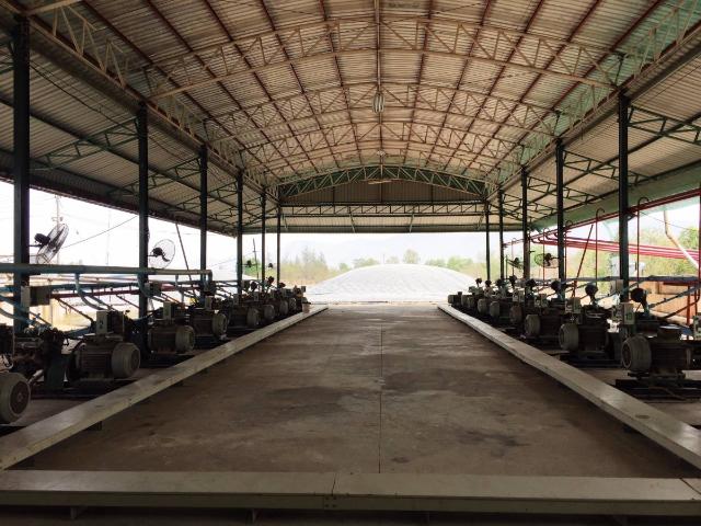 ขายที่ดินพร้อมกิจการโรงไฟฟ้าชีวภาพ กำลังผลิต 1 MW อ.เลาขวัญ จ.กาญจนบุรี
