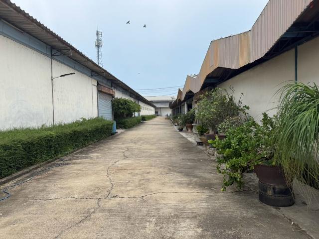 ขายที่ดิน 31 ไร่ พร้อมโรงงานและโกดัง 13 หลัง ติดถนนมาลัยแมน 321 อ.เมืองสุพรรณบุรี