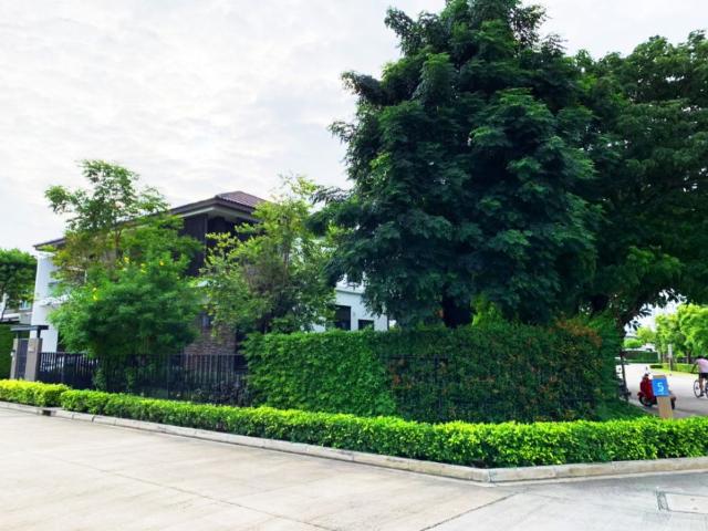 ขายบ้าน: Mantana Kalapapruek Wongwaen มัณฑนา กัลปพฤกษ์ วงแหวน รหัสทรัพย์ | LNP H724
