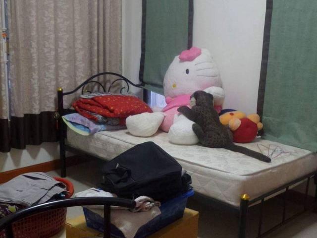 ขายบ้านในโครงการนันทิมา โลเคชั่นดี ราคาถูก เหมาะสำหรับนักธุรกิจสายรีโนเวท SW002046