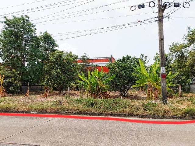 ขายบ้านพร้อมที่ดิน 429 ตร.วา แปลงใหญ่หายาก เหมาะลงทุน/ปลูกสร้าง ทำเลถนนเจ้าคุณทหาร