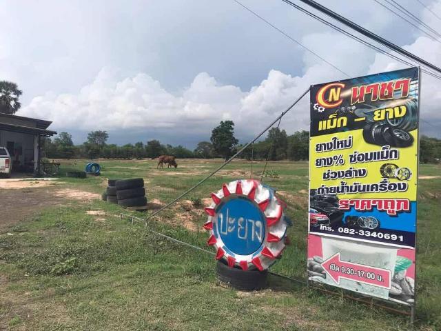 ขายบ้านตำบลสองชั้นอำเภอกระสังจังหวัดบุรีรัมย์ ขนาด 1 ไร่ 2 ตร.ว ติดถนนหมายเลข 226