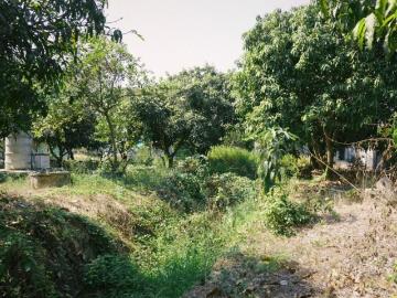 ขายด่วน! บ้านสวน 2 ไร่ ลำลูกกา คลองสิบ ใกล้กรุงเทพฯ ซื้อมาทำบ้านพักตากอากาศ แต่ไม่มีเวลาไปอยู่ แปลงสวย บรรยากาศรีสอร์ต ที่ดินหน้ากว้าง เหมาะทำบ้านสวน