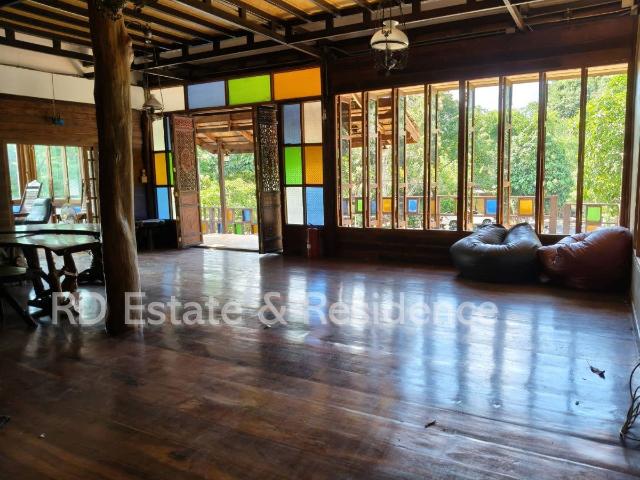 ขายรีสอร์ทกิจการเขาใหญ่ ปากช่อง ที่ดินติดเขา ต้นไม้ใหญ่ 446 ตร.ว ธนะรัชต์ ท่าช้าง หมูสี เหมาะทำรีสอร์ท ร้านอาหาร คาเฟ่ ใกล้น้ำผุด อุทยาน 0879074
