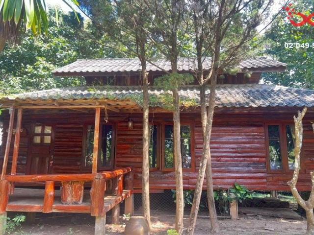 ขายรีสอร์ท ต.ทุ่งยาว อ.ปาย แม่ฮ่องสอน เนื้อที่ 4 ไร่เศษ พร้อมบ้านพักไม้สักทอง 5หลัง ใกล้แหล่งท่องเที่ยว