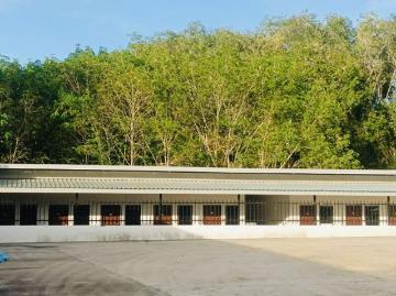 ขายโรงงานหีบเมล็ดในปาล์ม พร้อมเครื่องจักร