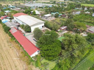 ขายโรงงาน โกดัง คลังสินค้า ขายที่ 80% ของราคาประเมิน ประเมิน 50 ล้าน ขายเพียง 40 ล้าน บางบัวทอง ถนนวัดลาดปลาดุก ซอยวัดลาดปลาดุก ต.บางคูรัด จ.นนทบุรี