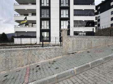 Yayladalı, Tokat, Tokat, Tokat ili, Karadeniz Bölgesi