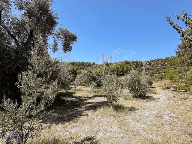 Kaş Kalkan, Doğa İçinde Geniş Arazili Müstakil Ev