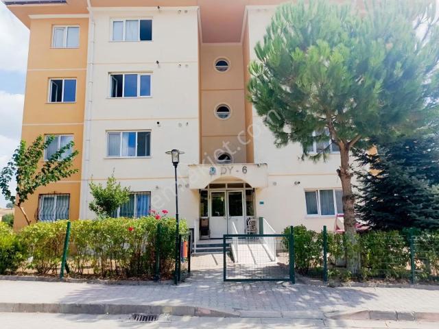 Kaçmaz Merkez Dy