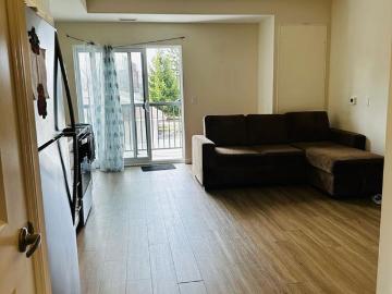 Waterloo, Ontario, Ontario