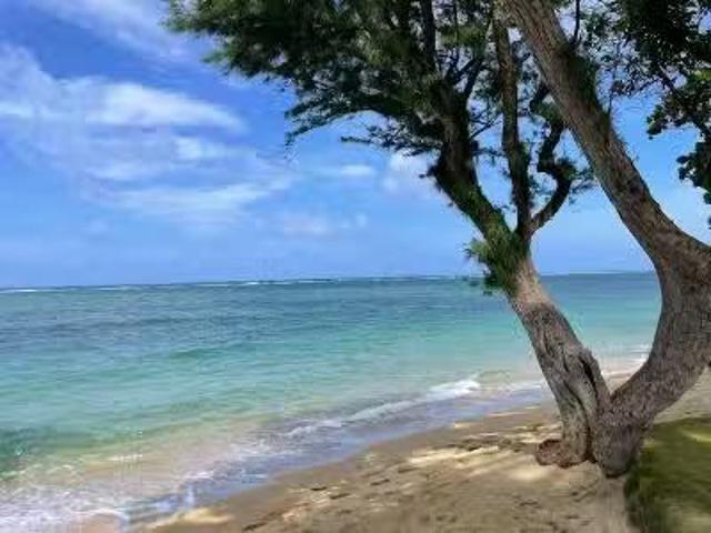 Kamehameha Highway