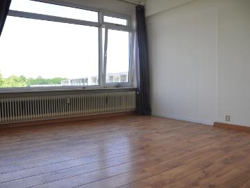 Olland, Meierijstad, Noord-Brabant