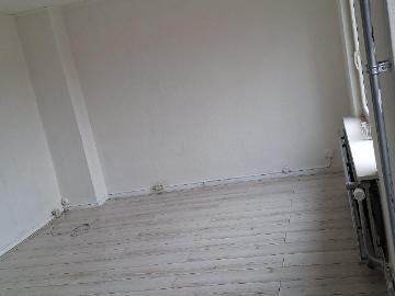 Olland, Meierijstad, Noord-Brabant - Tuin