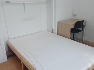 Olland, Meierijstad, Noord-Brabant - Tuin