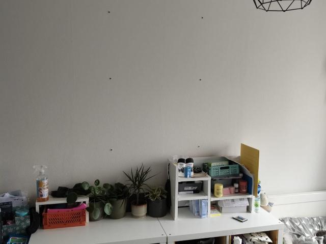 kamer te huur in Leeuwarden