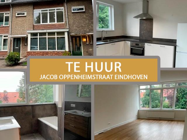 2 room apartment to let in Jacob Oppenheimstraat, Eindhoven, Nederland