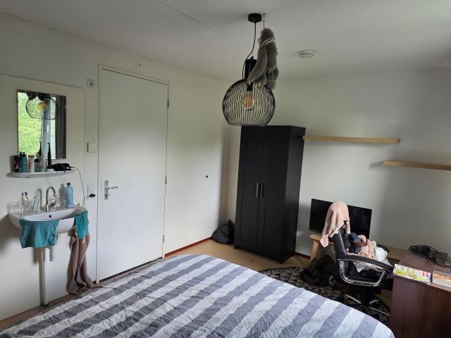 Kamer beschikbaar op rijnveste!