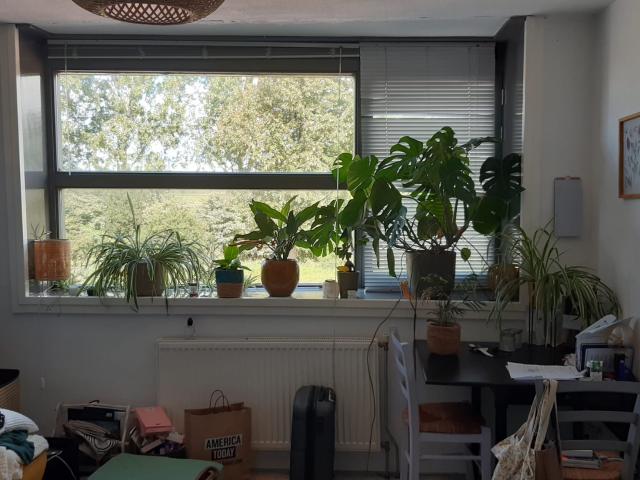 Kamer in Leiderdorp