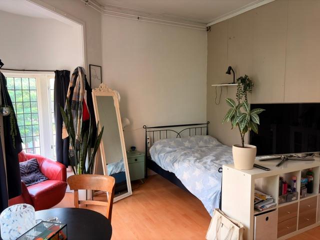 Kamer Pluimerstraat