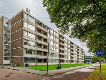 Kamer / Studio te huur in Rotterdam