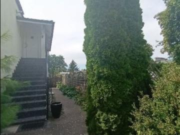 Dom z sklepem, 180 m², ogrzewanie gazowe, taras