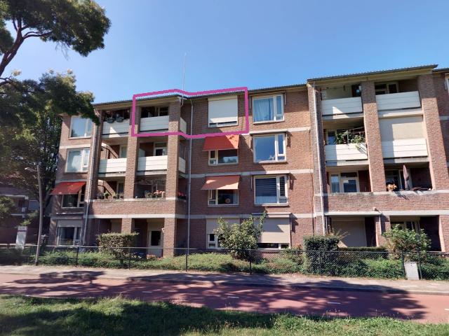 Kamperfoeliestraat 45