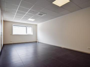 3800, Saint-Trond, Hasselt