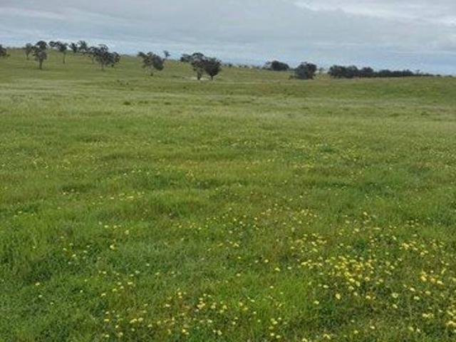 Kanya 665 Acres By Expressions of Interest