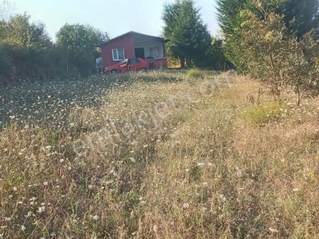 Kandıra Terziler Köyünde 1070 M2 İçinde Müstakil Ev