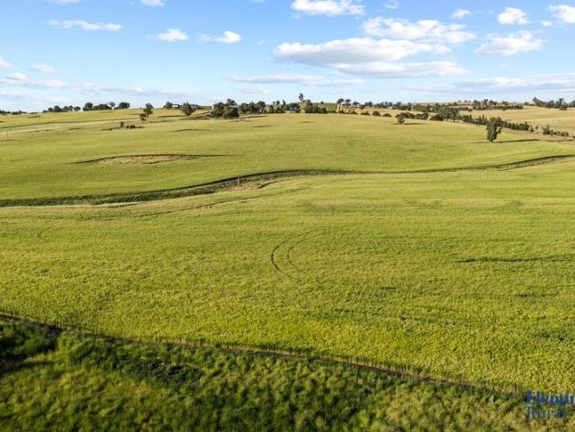 Kanoona Versatile Mixed Farming Holding in a Premier Agricultural District