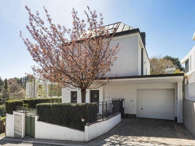 Kaasgraben: Modernes Einfamilienhaus im Grünen mit Wienblick