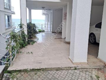 Eriklimanı, Giresun, Giresun ili, Karadeniz Bölgesi