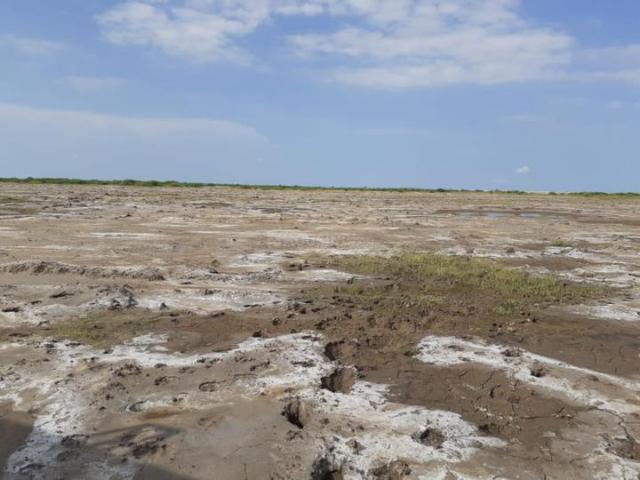 Kadipur, Dholera Residential Plot For Sale Ahmedabad