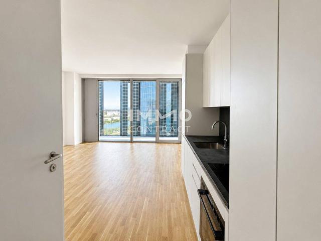 Kahlenberg & Sonnenuntergang: 34. Etage DC2 Tower Erstbezug