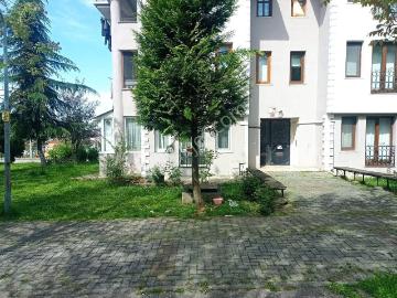 Düzce, Düzce ili, Düzce ili, Karadeniz Bölgesi