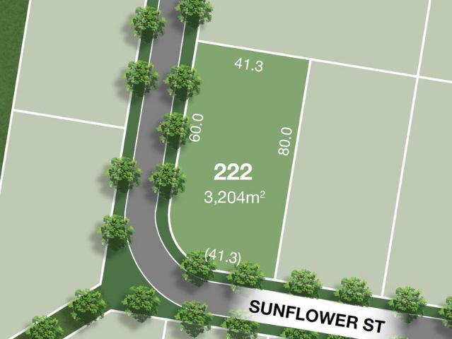 Kalbar Pastures Coming Soon, Register Now