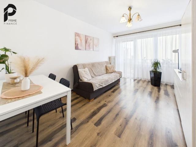 Kaliska 48,14 m², Nowe Skalmierzyce