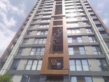 Kartal Dragos Versus'da 2+1