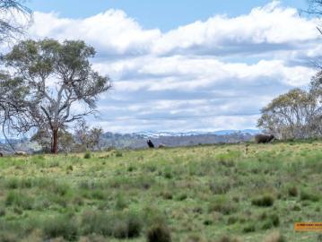 Kara Creek