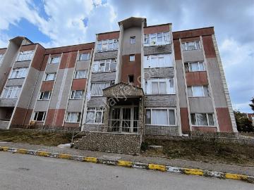 Körfez, Kocaeli, Marmara Bölgesi